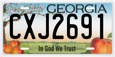 GA license plate CXJ2691