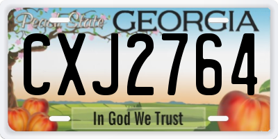 GA license plate CXJ2764