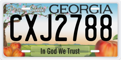 GA license plate CXJ2788