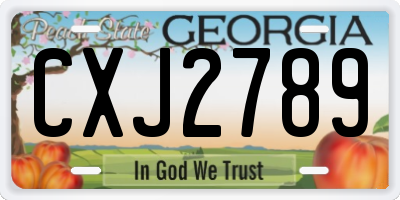 GA license plate CXJ2789