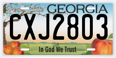GA license plate CXJ2803
