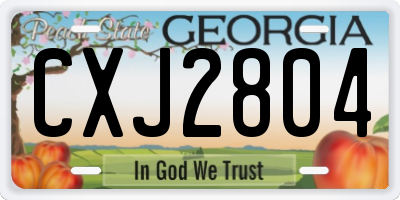 GA license plate CXJ2804