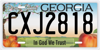 GA license plate CXJ2818