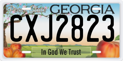 GA license plate CXJ2823