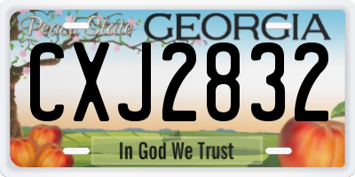 GA license plate CXJ2832