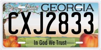 GA license plate CXJ2833