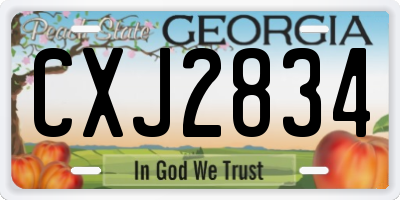 GA license plate CXJ2834