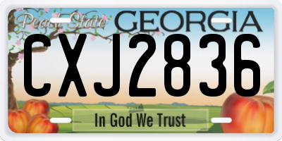 GA license plate CXJ2836