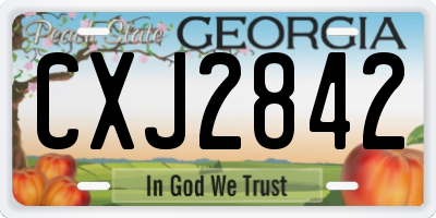 GA license plate CXJ2842