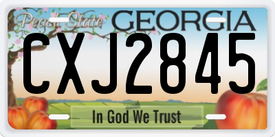 GA license plate CXJ2845