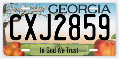 GA license plate CXJ2859