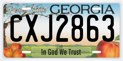 GA license plate CXJ2863
