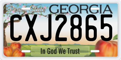 GA license plate CXJ2865