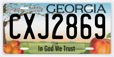 GA license plate CXJ2869