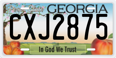 GA license plate CXJ2875