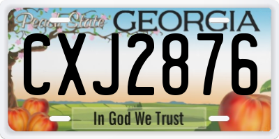 GA license plate CXJ2876