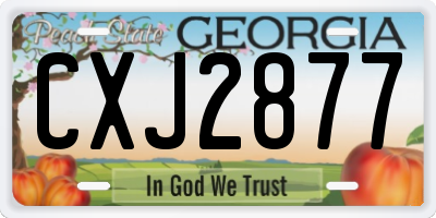 GA license plate CXJ2877