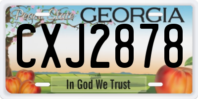 GA license plate CXJ2878