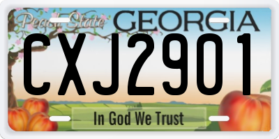 GA license plate CXJ2901