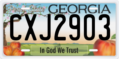 GA license plate CXJ2903