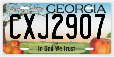 GA license plate CXJ2907