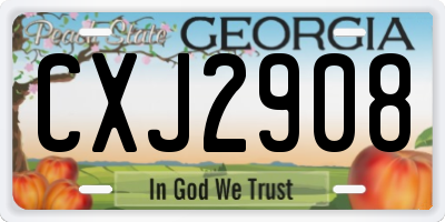 GA license plate CXJ2908