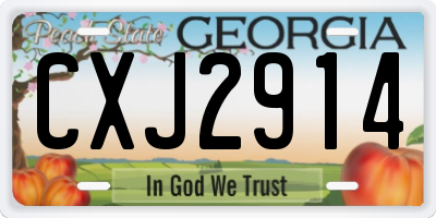 GA license plate CXJ2914