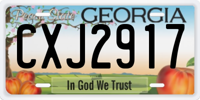 GA license plate CXJ2917