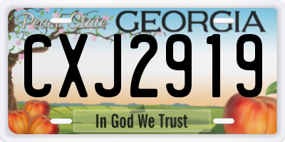 GA license plate CXJ2919