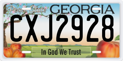 GA license plate CXJ2928