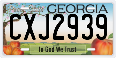 GA license plate CXJ2939