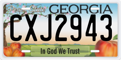 GA license plate CXJ2943