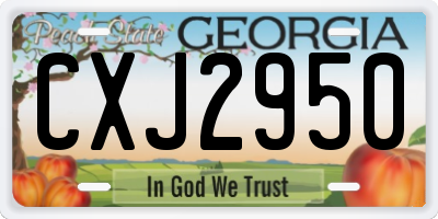 GA license plate CXJ2950
