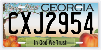 GA license plate CXJ2954