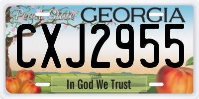 GA license plate CXJ2955