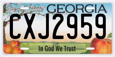 GA license plate CXJ2959