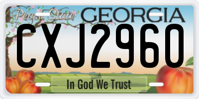 GA license plate CXJ2960