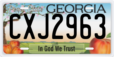 GA license plate CXJ2963
