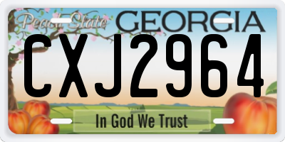 GA license plate CXJ2964