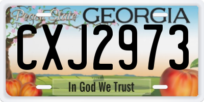 GA license plate CXJ2973