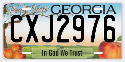 GA license plate CXJ2976