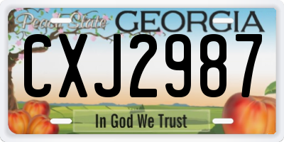 GA license plate CXJ2987