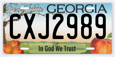 GA license plate CXJ2989