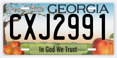 GA license plate CXJ2991