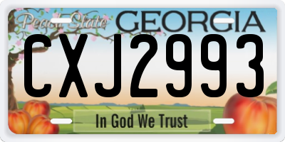 GA license plate CXJ2993