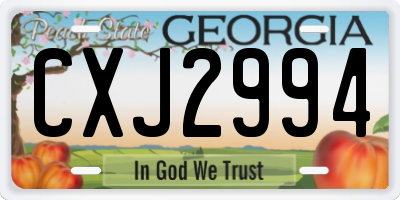 GA license plate CXJ2994