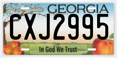 GA license plate CXJ2995