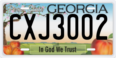 GA license plate CXJ3002