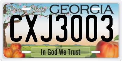 GA license plate CXJ3003