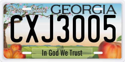 GA license plate CXJ3005